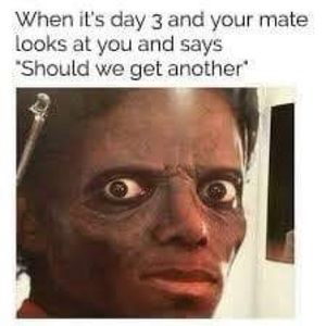 Meet your Posher, Lee